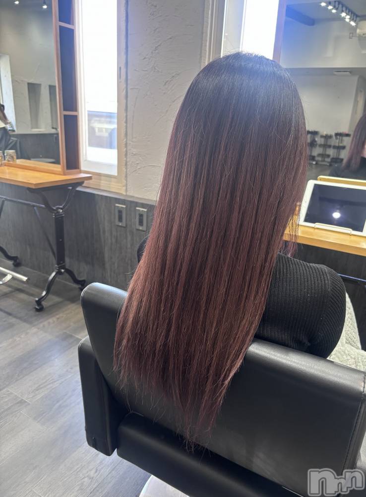 ��ˬ����Х��顦����֥���� �ץ���� ��ˬ(����� �ץ���� ����) ɢ�� ��ͤ�3��18���̥�֥�����🧏🏻‍��️��