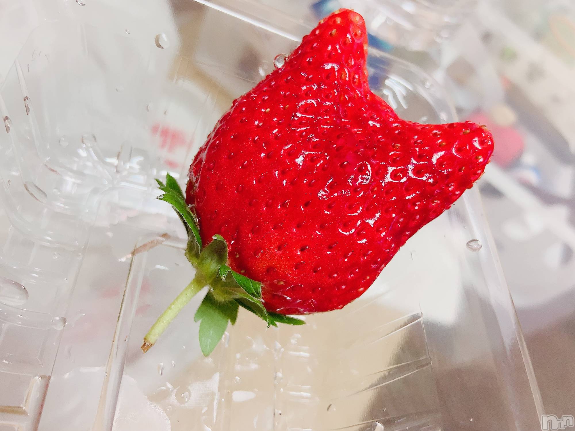 ��ˬ����Х��顦����֥���� �ץ���� ��ˬ(����� �ץ���� ����) ��2025ǯ8��21���̥�֥�����👼🏻��