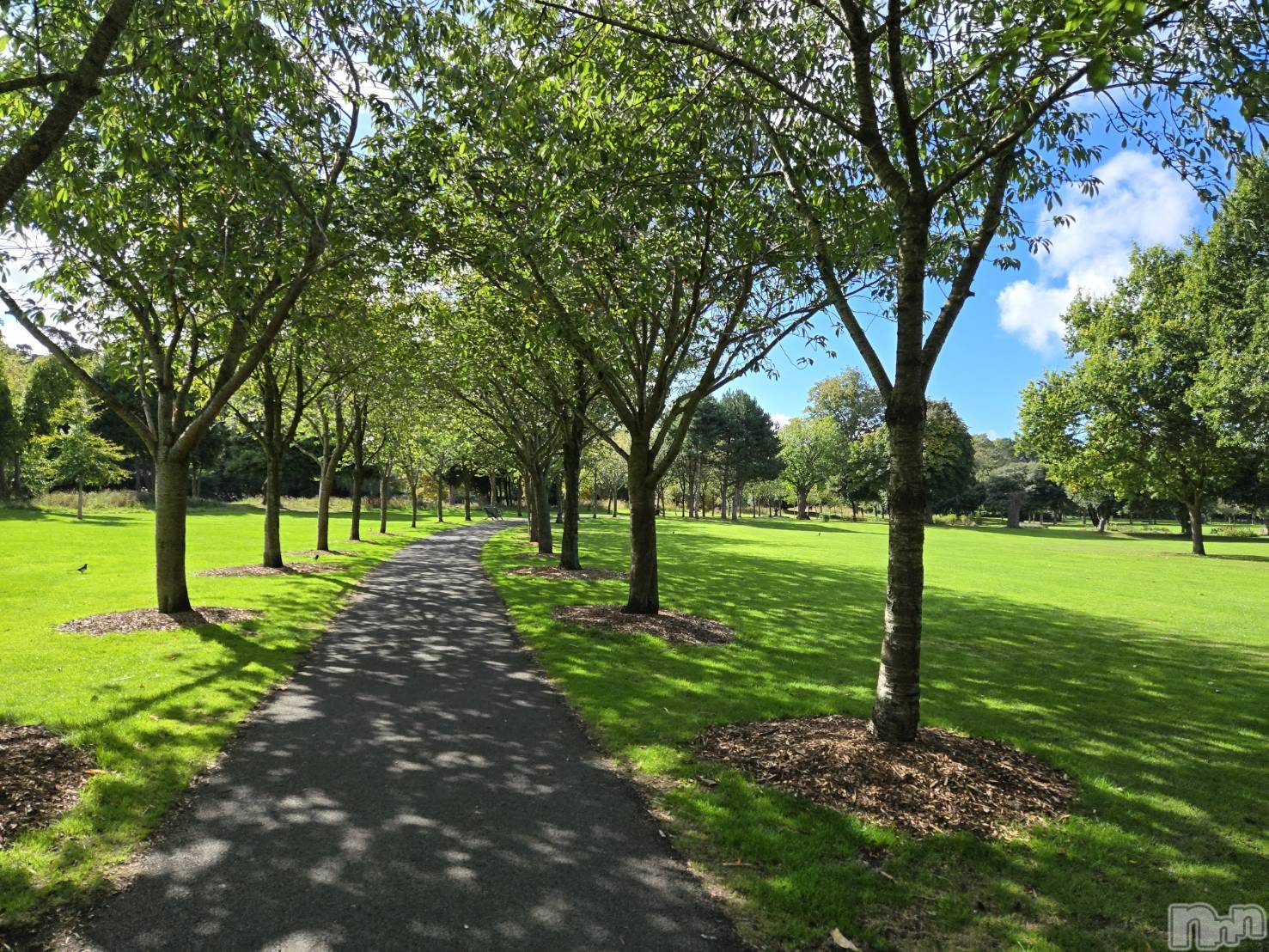 ��ˬ����Х��顦����֥���� �ץ���� ��ˬ(����� �ץ���� ����) ��2025ǯ9��17���̥�֥�����🫥��