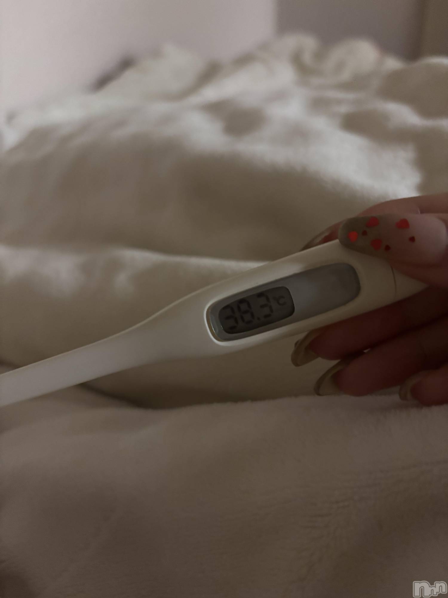 ��ˬ����Х��顦����֥���� �ץ���� ��ˬ(����� �ץ���� ����) ��2026ǯ2��3���̥�֥�����👶🏻��