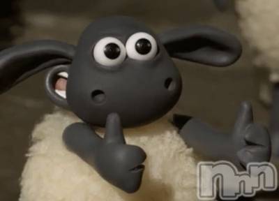 ��ˬ����Х��顦����֥���� �ץ���� ��ˬ(����� �ץ���� ����) ɢ�� ���(28)��7��31���̥�֥�����🧚‍��️��