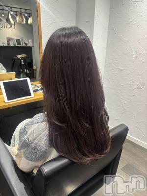 ��ˬ����Х��顦����֥���� �ץ���� ��ˬ(����� �ץ���� ����) ɢ�� ���(28)��11��5���̥�֥�����🐰ᩚ��