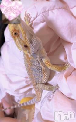 ��ˬ����Х��顦����֥���� �ץ���� ��ˬ(����� �ץ���� ����) ɢ�� ���(28)��1��7���̥�֥�����👶🏻��