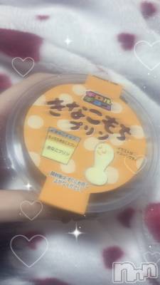 ��ˬ����Х��顦����֥���� �ץ���� ��ˬ(����� �ץ���� ����) ɢ�� ��ͤ�2��6���̥�֥�����🤦🏻‍��️��