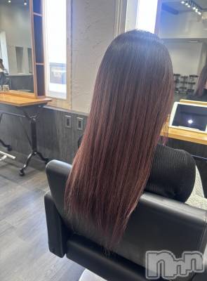 ��ˬ����Х��顦����֥���� �ץ���� ��ˬ(����� �ץ���� ����) ɢ�� ��ͤ�3��18���̥�֥�����🧏🏻‍��️��