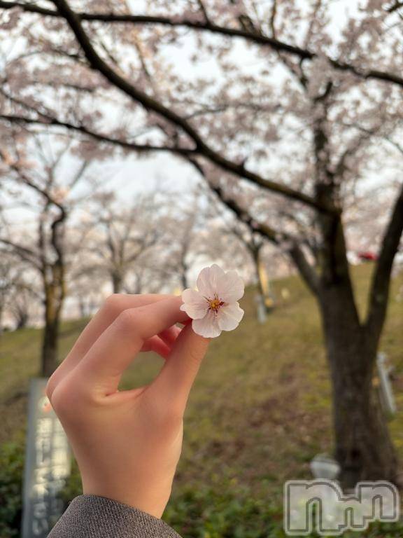 新潟デリヘルMelt(メルト) うた(22)の4月6日写メブログ「教えて...🌸」