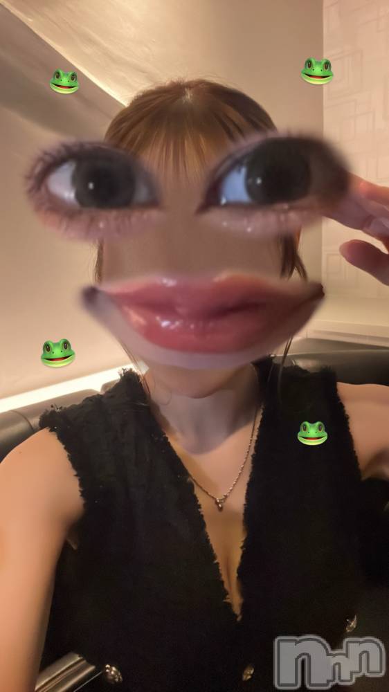 Х顦Blanc (֥) Τ1210̥֥֥ݥˡơ봶եǡ