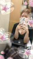 Х顦 Blanc (֥) Τ730ֵ̥֥ЧǤ
