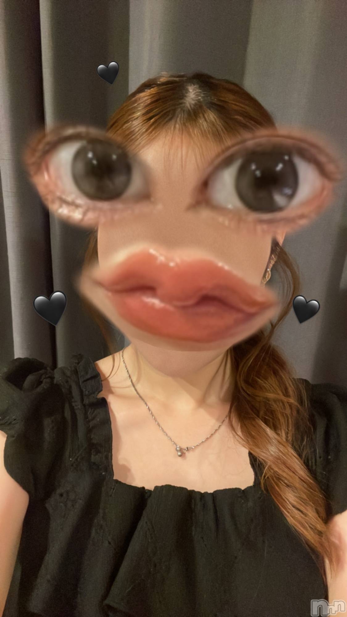Х顦Blanc (֥) 2025ǯ913̥֥֤פ֤ˡ