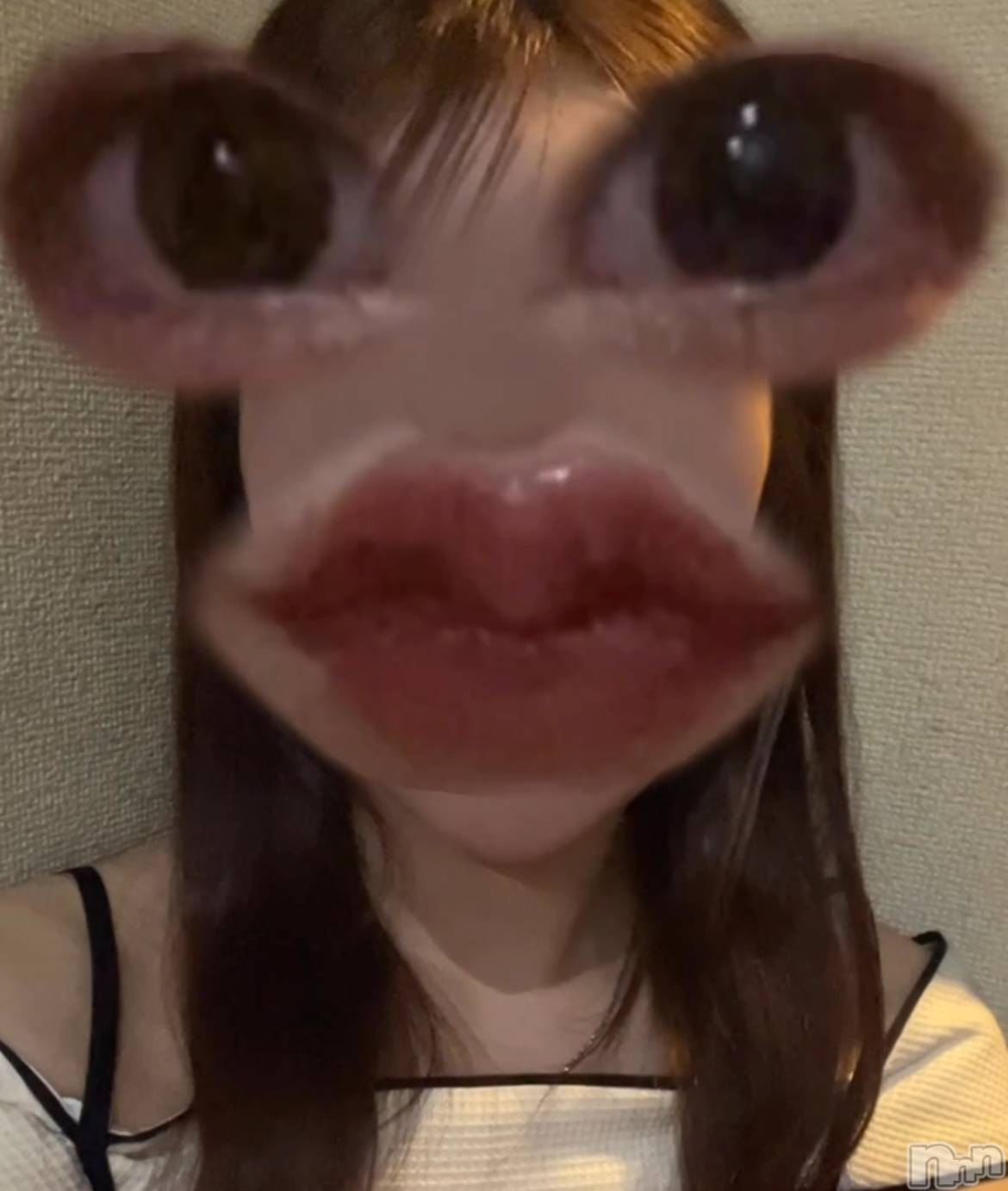Х顦Blanc (֥) 2025ǯ914̥֥֥ХС