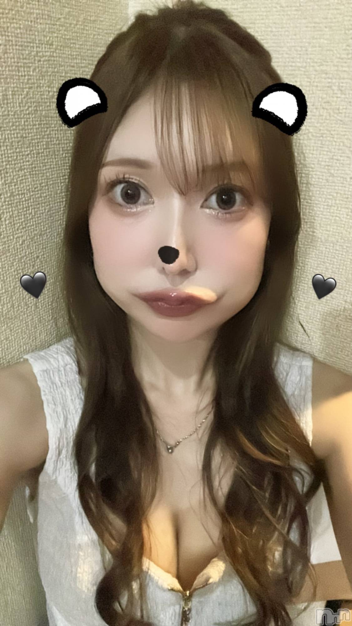 Х顦Blanc (֥) 2025ǯ925̥֥֤᤺餷🐼