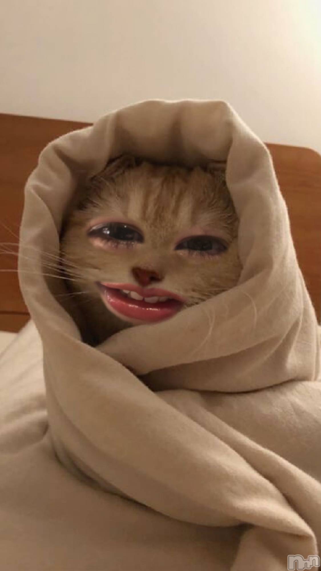 �����������Х��顦�����Blanc (�֥��) ��2026ǯ1��14���̥�֥����ֺ���������Ǥ��