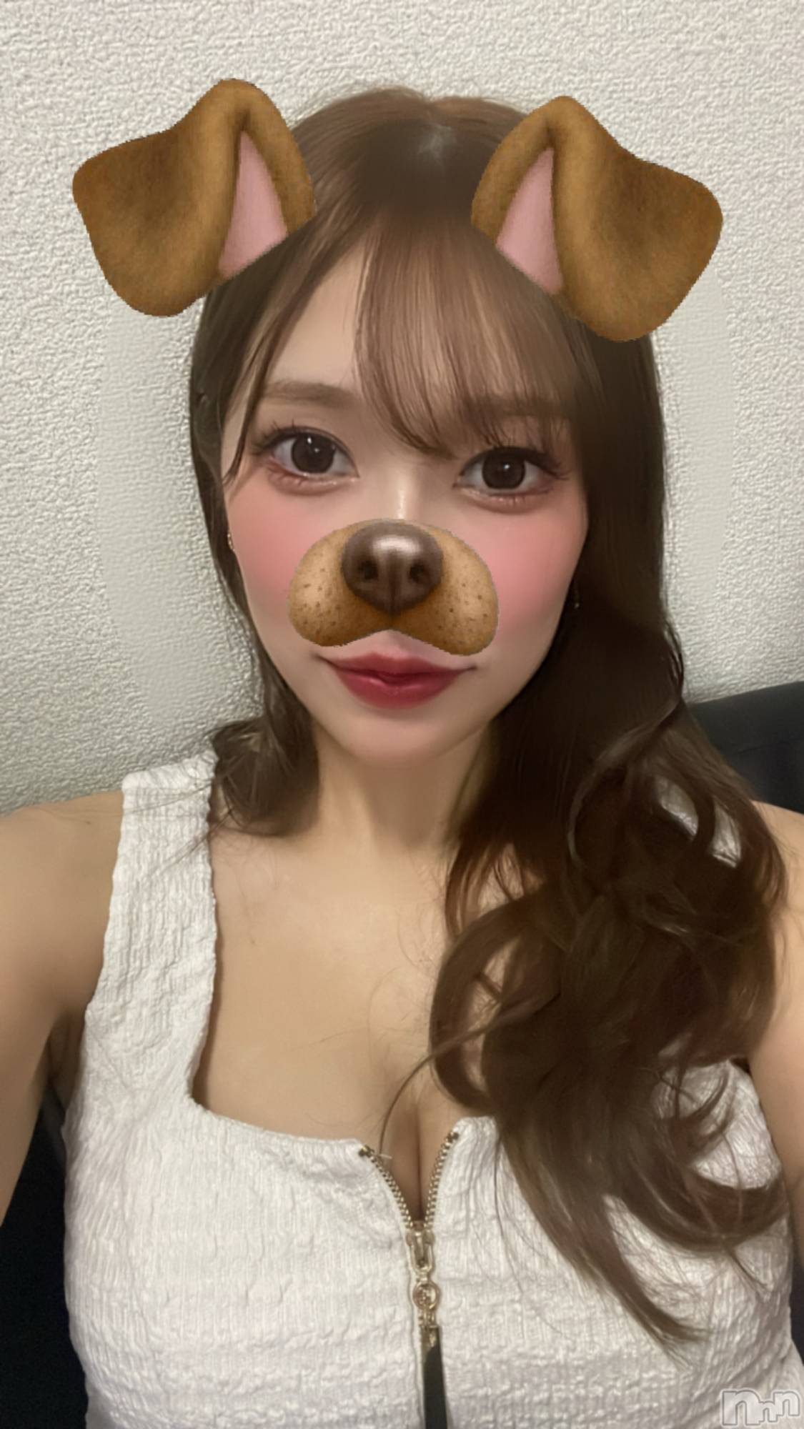 �����������Х��顦�����Blanc (�֥��) ��2026ǯ7��29���̥�֥����ֲ�🐶��