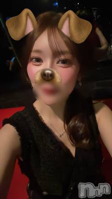 Х顦Blanc (֥) Τ414̥֥Ź