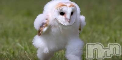 Х顦Blanc (֥) Τ428̥֥GW֤̤ĶȤäʤ(๑ᴖ◡ᴖ๑)