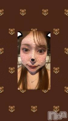 Х顦Blanc (֥) Τ522̥֥🐻🐻🐻🐻🐻