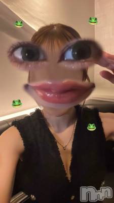 Х顦Blanc (֥) Τ1210̥֥֥ݥˡơ봶եǡ