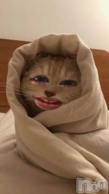 �����������Х��顦�����Blanc (�֥��) �Τ���1��14���̥�֥����ֺ���������Ǥ��