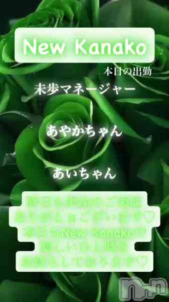ʥå New KANAKOΤŹưֲڶ✨
