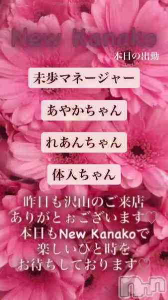 ʥå New KANAKOΤŹưֲڶ✨