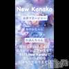 ʥå륺С ʥå New KANAKO(˥塼ʥ)109Ź®⤪ԤƤޤ♡