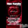 ʥå륺С ʥå New KANAKO(˥塼ʥ)78Ź®ֳڤҤȻ✨