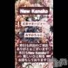 ʥå륺С ʥå New KANAKO(˥塼ʥ)712Ź®ֺǸ✨