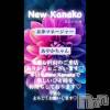 ʥå륺С ʥå New KANAKO(˥塼ʥ)98Ź®ֺꤤޤ✨