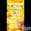 ʥå륺С ʥå New KANAKO(˥塼ʥ)79Ź®֤Τ餻