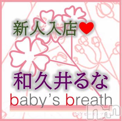 㡦ȯĥꥢ󥺥 baby's breath(٥ӡ ֥쥹) µװʡڿۤ͡β(1)