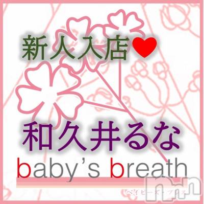 㡦ȯĥꥢ󥺥baby's breath(٥ӡ ֥쥹) µװʤ45̥֥֤ϤޤơʤǤ