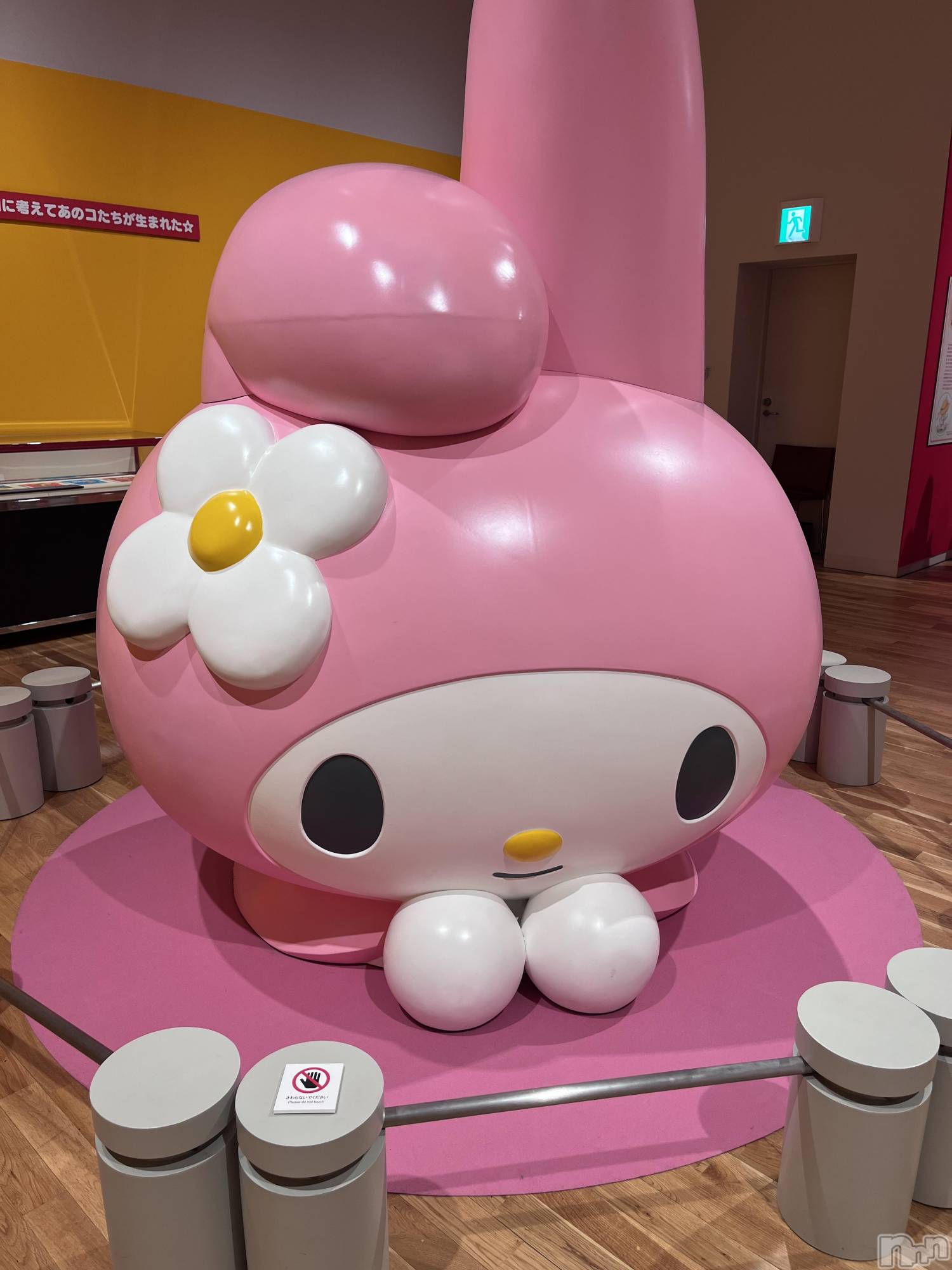 ���ܱ�������Х��顦����֥���� �ץ���� ����(����� �ץ���� �ޥĥ��) ��2026ǯ2��5���̥�֥����֥���ꥪŸ�Ԥä�🫶🏻🫶🏻��