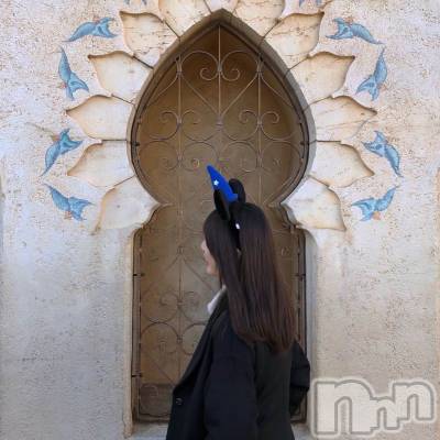 椺(21) Ĺ163cmܱХ顦  ץ ( ץ ޥĥ)ҡ