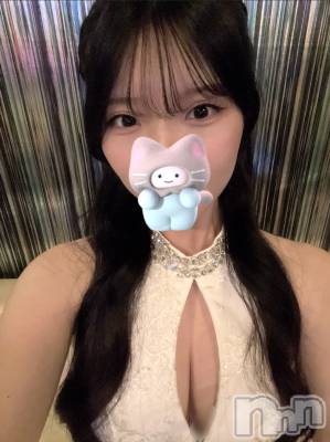 椺(21) Ĺ163cmܱХ顦  ץ ( ץ ޥĥ)ҡ