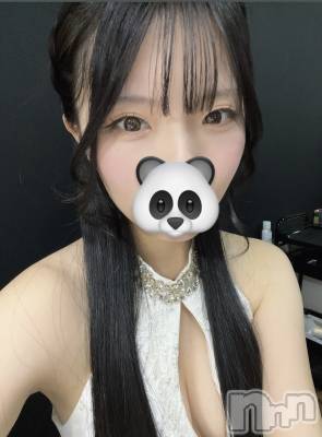 ���ܱ�������Х��顦����� ����� �ץ���� ����(����� �ץ���� �ޥĥ��) �椺���β���(1����)