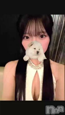 �����͡�🌟