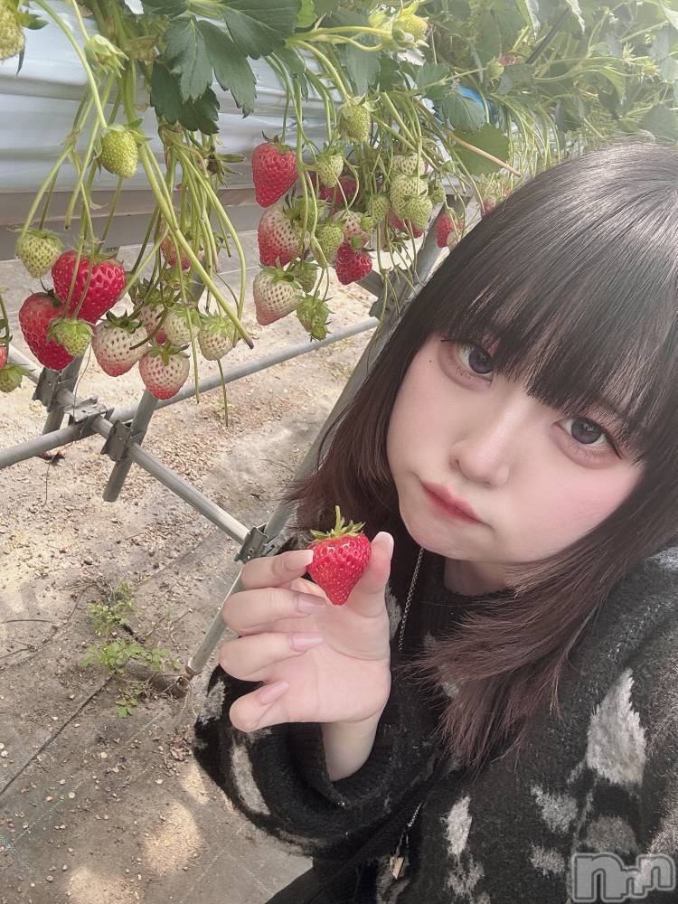 ʥå륺СROYAL ONE() ⤫417̥֥֤äƤ