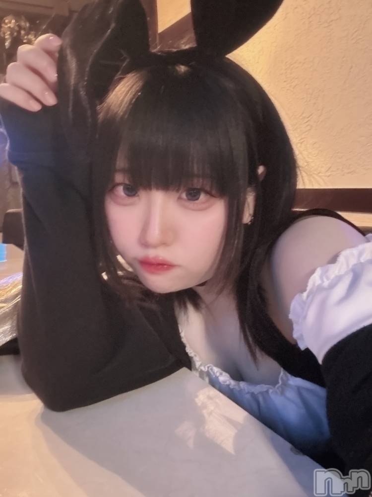 ʥå륺СROYAL ONE() ⤫418̥֥֥Хˡ🐰