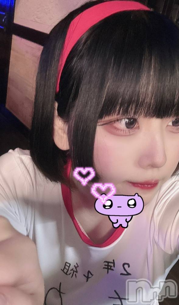 ʥå륺СROYAL ONE() ⤫524̥֥🟥🟥