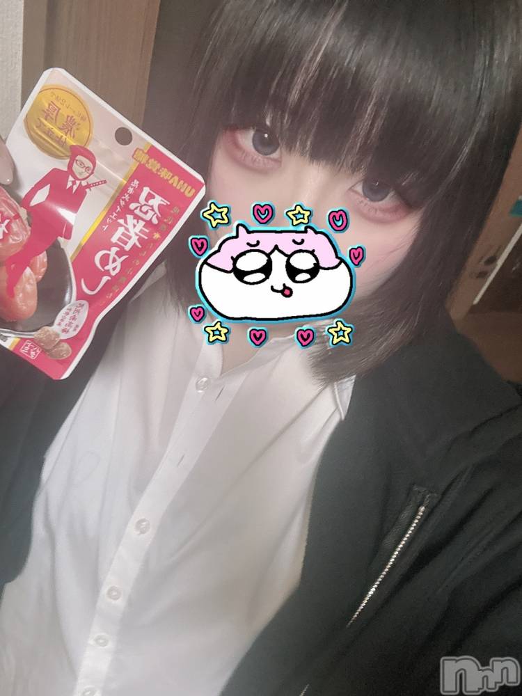 ʥå륺СROYAL ONE() ⤫529ֺ̥֥ǶΥޥ֡₍ᐢɞ̴̶̷ ·̮ ɞ̴̶̷ᐢ₎