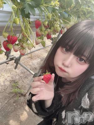 ʥå륺СROYAL ONE() ⤫(21)417̥֥֤äƤ