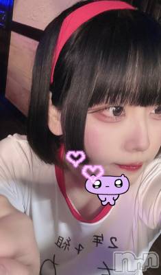 ʥå륺СROYAL ONE() ⤫(21)524̥֥🟥🟥