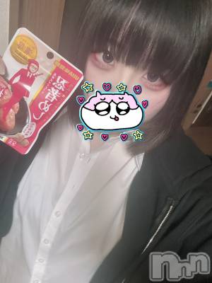 ʥå륺СROYAL ONE() ⤫(21)529ֺ̥֥ǶΥޥ֡₍ᐢɞ̴̶̷ ·̮ ɞ̴̶̷ᐢ₎