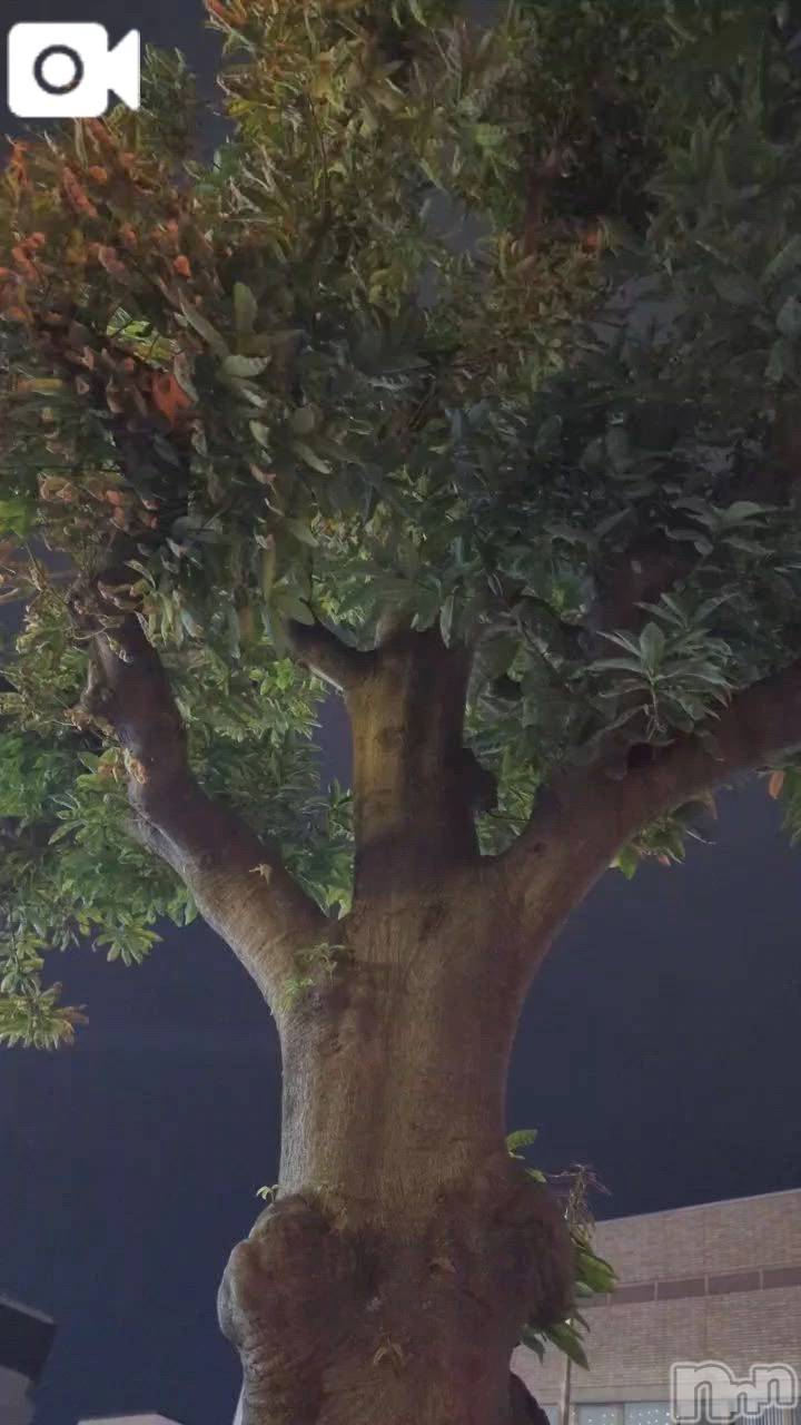 新潟デリヘル熟女の風俗 最終章(ジュクジョノフウゾクサイシュウショウ)さちこ(50)の2025年11月23日写メブログ「お散歩🚶‍♀️」