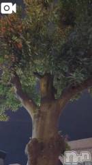 新潟デリヘル熟女の風俗 最終章(ジュクジョノフウゾクサイシュウショウ) さちこ(50)の11月11日写メブログ「冬が来ちゃう💦」