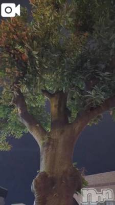 新潟デリヘル 熟女の風俗 最終章(ジュクジョノフウゾクサイシュウショウ) さちこ(50)の11月23日写メブログ「お散歩🚶‍♀️」