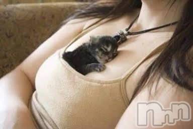 新潟デリヘル 熟女の風俗 最終章(ジュクジョノフウゾクサイシュウショウ) さちこ(50)の2月12日写メブログ「わんにゃんの日💕︎」