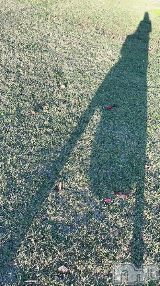 長岡デリヘルBIANCA～主人の知らない私～長岡店(ビアンカナガオカテン) 朝日奈　うみ(34)の11月9日写メブログ「うみのかげ♡」