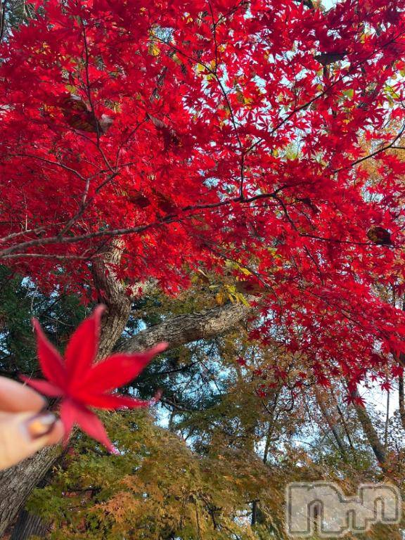 長岡デリヘルBIANCA～主人の知らない私～長岡店(ビアンカナガオカテン) 朝日奈　うみ(34)の11月23日写メブログ「も～み～じ」