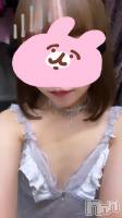 ĮС㤭PRESTIGE VIP(ץ쥹ơӥå) ǵޤ822̥֥֤᤿